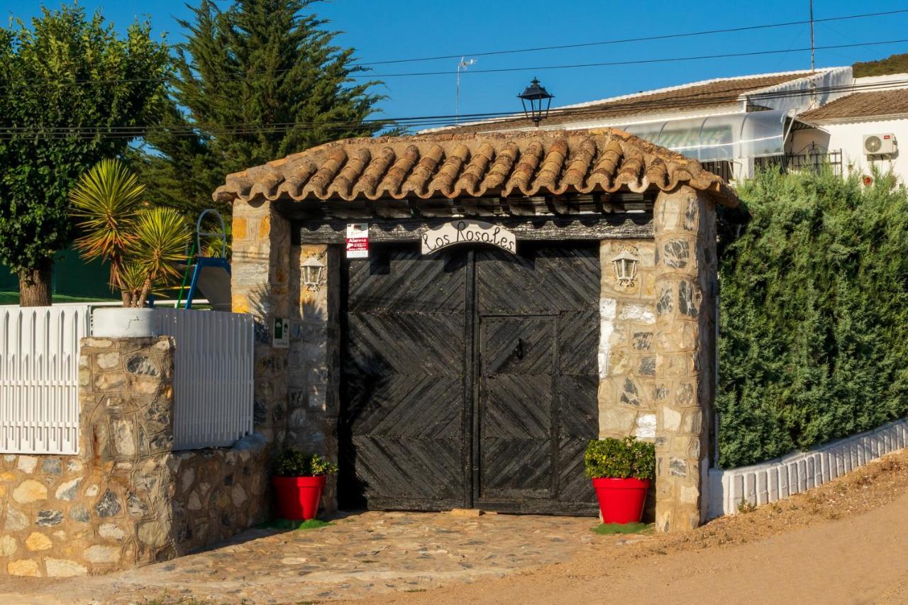 Rosales En El Corazon De La Mancha Puerto Lápice